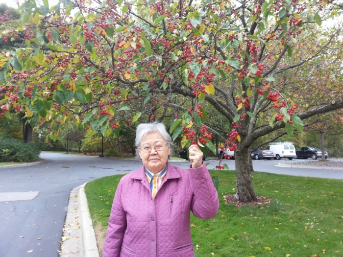 20121010_141311 [800x600].jpg